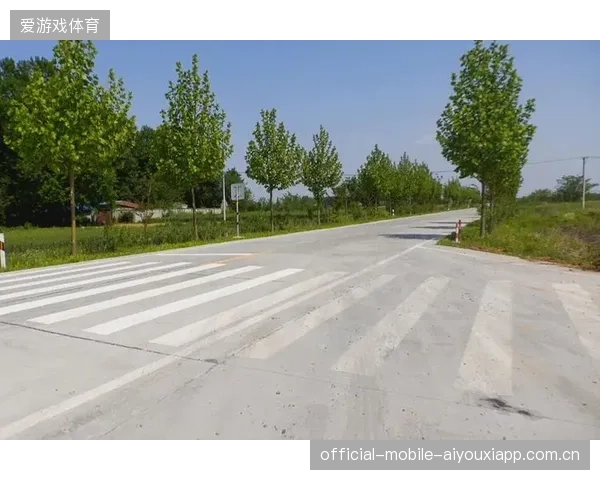 哥斯达黎加萨普里萨边路重建：拓展未来的绿色之路